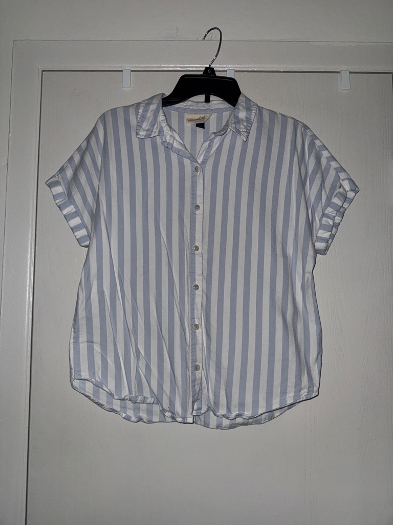 Universal Thread Blue And White Vertical Stripe Shirt